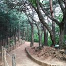 구곡폭포(문배마을) 이미지