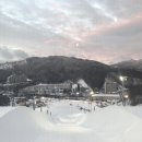 휘닉스파크 이미지