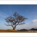 충청수영성 이미지