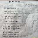 마나상사