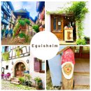 무지개동심원 | 프랑스 에기솅(Eguisheim) | 프랑스에서 가장 아름다운 마을 중 하나 | 성벽 거리