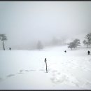 진부목장 이미지