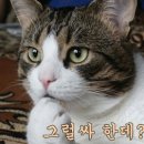 프린스실용음악학원 이미지