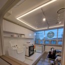 The 사랑할 개 이미지