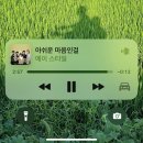 평창송정약수송어회~수칸사거리 | 감자국 탐험기 1탄 in 평창