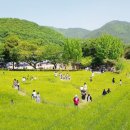 숭진초등학교