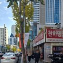 한주카써비스 이미지