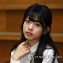 신세휘 카카오 검색결과