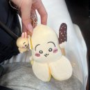 내 6월 어디갔어