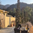 서구-01-163 | 자쿠지숙소 추천｜대전 근교 프라이빗 감성, 포레스트 오안 숙박 후기