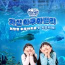 여태 왜안갔지? 서울아이랑 가볼만한 곳, 서대문자연사박물관 무료 입장꿀팁과 후기