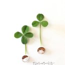 상대도안아이파크공인중개사사무소 이미지