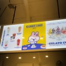 와플대학하계장미캠퍼스