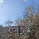 원주굽이길 원2코스 구학산둘레숲길 이미지