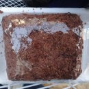 삼익떡집 이미지