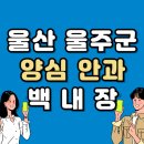 언양한사랑안과의원 | 울산 울주군 백내장 전문 병원 List 수술 잘하는 안과 추천