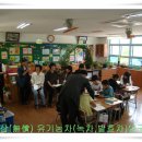 쌍계초등학교 이미지