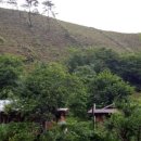 숲속의 웰빙 황토펜션 이미지