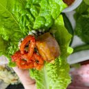 정읍 족발 보쌈 맛집 마늘 족발 있는 잭아저씨족발&amp;보쌈