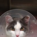 모리동물병원 이미지