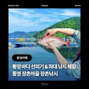 장촌마을 | 통영 여행 추천 | 장촌낚시체험 : 초보도 가능한 통영바다 배낚시 선외기낚시 좌대낚시