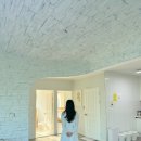 모아니스테이 이미지