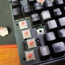 수원-0048 이미지