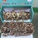 주식회사 가치채움 이미지