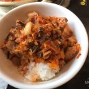 새마을식당 티스토리
