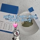 맛채움 티스토리