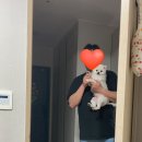 땡초김밥 팔용동점 이미지