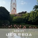 성공카랜드 | 나트랑 빈원더스 오후권 후기 4시 입장 알파인코스터 홍학 포토존 동선 빈펄랜드 케이블카