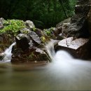 지장산 입구 화장실 이미지
