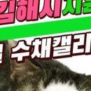 인제대학교 미래교육원 네이버블로그
