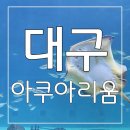 바다세상 | 신비로운 바다속 세상, 아이들과 놀기 좋은 대구 아쿠아리움 후기