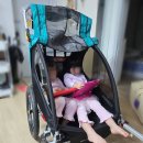 (학부모) 내 아이 일기쓰기 지도 | 11월 17일 한달치 일기 각잡고 쓰기