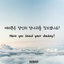 여러분은 당신의 당나귀를 찾으셨나요? Have you found your donkey? 이미지