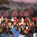 진도토요민속여행 상설공연 이미지