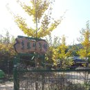 십년농장 이미지