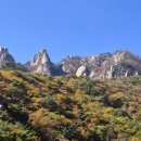 도봉산(다락능선, 거북골의 눈부신 단풍) 이미지