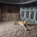 오류24시사우나 이미지