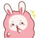 감꽃향흩날리는 이미지