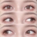 으뜸50안경서울대2호점 | 으뜸50안경 오유파인 시나몬 초코, 데이비스 그레이 원데이 렌즈 후기