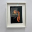 《 강과 바다가 만나는 곳 Estuary : Between Tides 》 - 갤러리 바톤 전시 후기