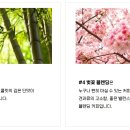 북수서로 이미지