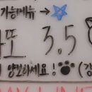 마티애견 이미지