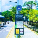 매봉산 숲속도서관 이미지