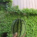 더존펜션 | 공주펜션 더존펜션 솔직후기+꿀팁