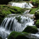 산수풍경 이미지