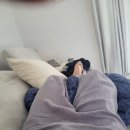 세월산장 | 대전근교 계곡 명지목산장 포인트 절대 가지말라. 사람미어터진다.